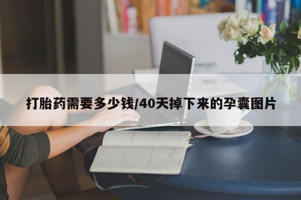 哪里有流产药联系方式打胎药需要多少钱/40天掉下来的孕囊图片